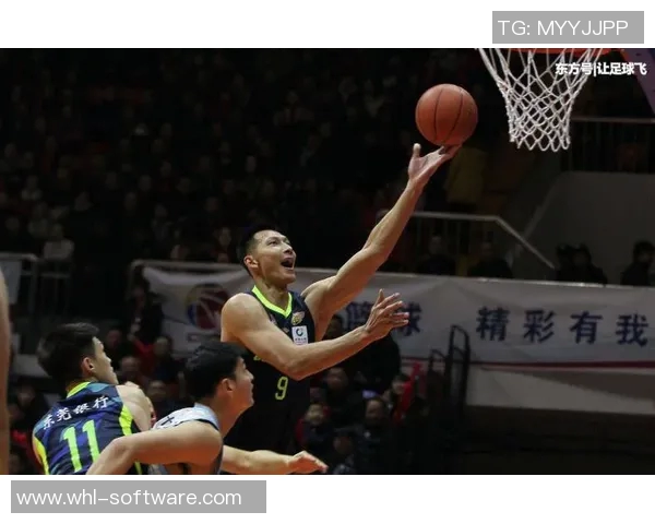 史鸿飞的奋斗历程与成就解析：从平凡到卓越的成长之路